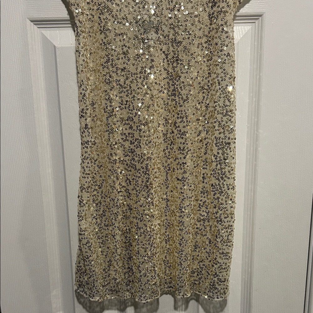 Intimately Free People sequined slip-dress XS - Picture 3 of 9